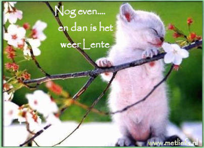 lente_2.jpg