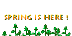 lente7.gif