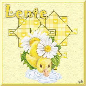 lente17.jpg